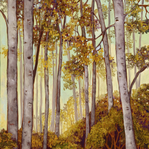 Aspen Tranquility