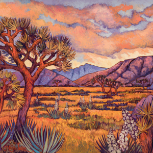 Mojave Sunset