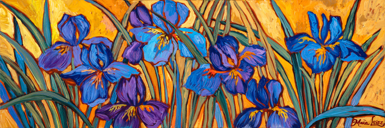 Les Iris Japonaise