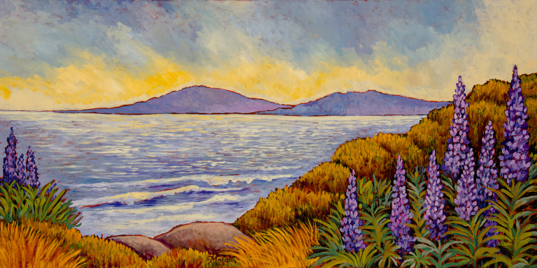 Bodega Bay