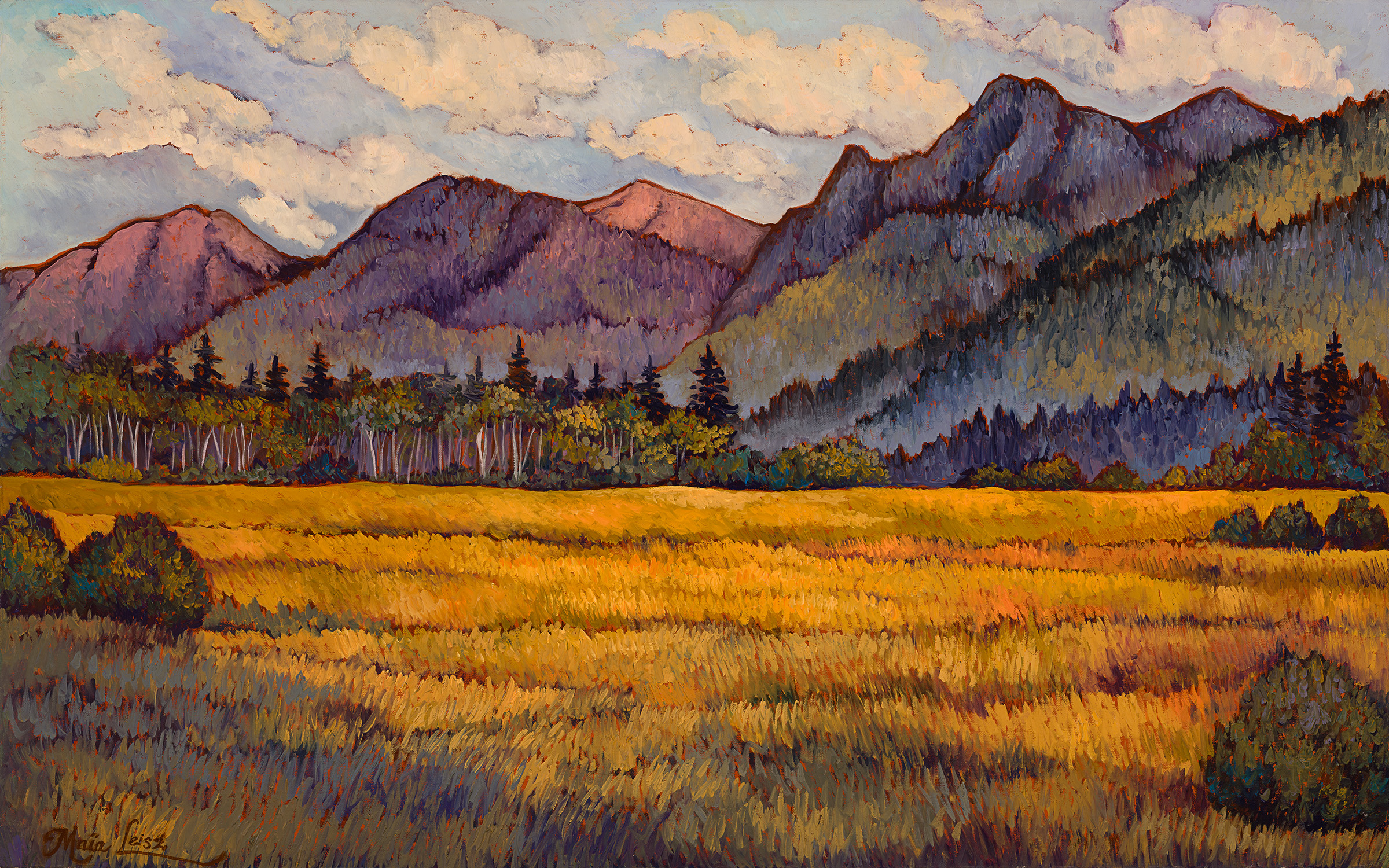 Evening Light in the Bull River Valley by Maia Leisz