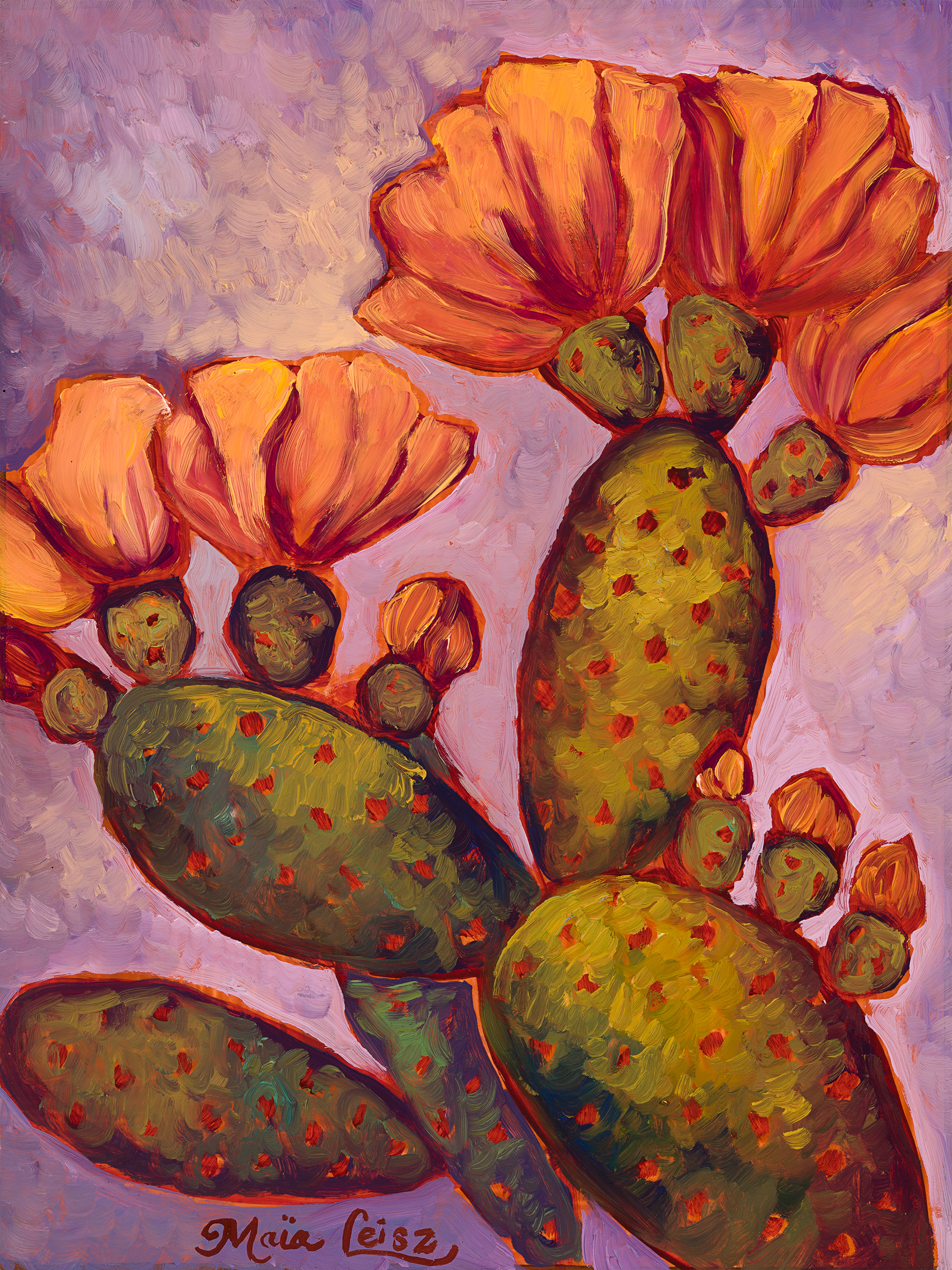 Of Sunshine and Cacti by Maia Leisz