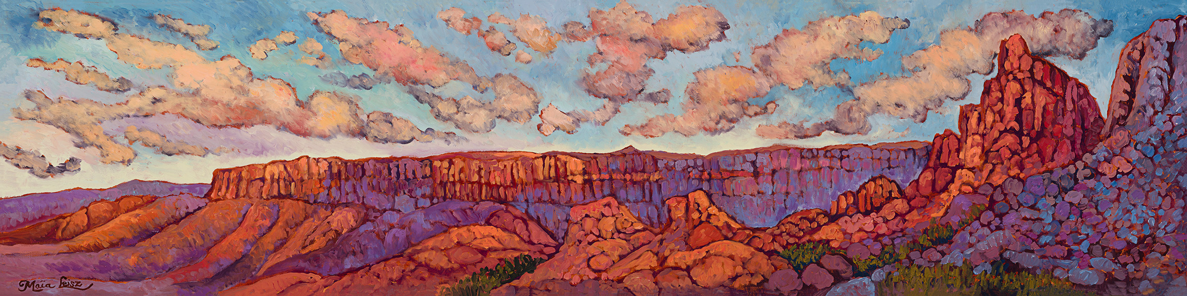 Marble Canyon Vista by Maia Leisz