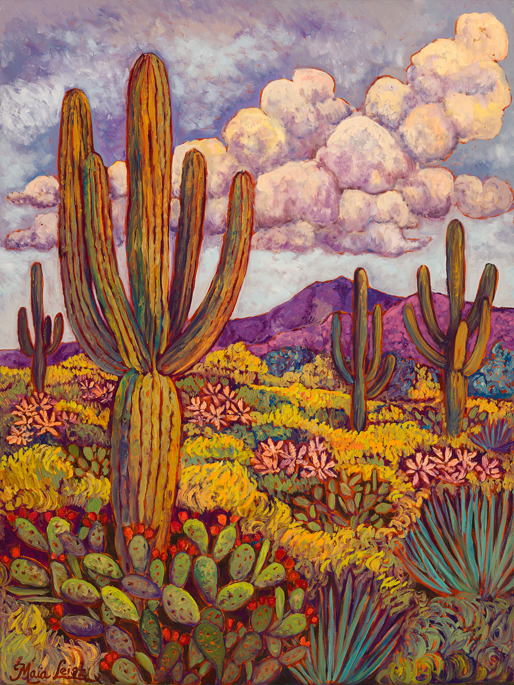 Sonoran Cumulus by Maia Leisz