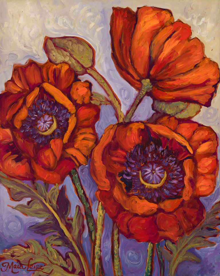 Poppies at Dawn