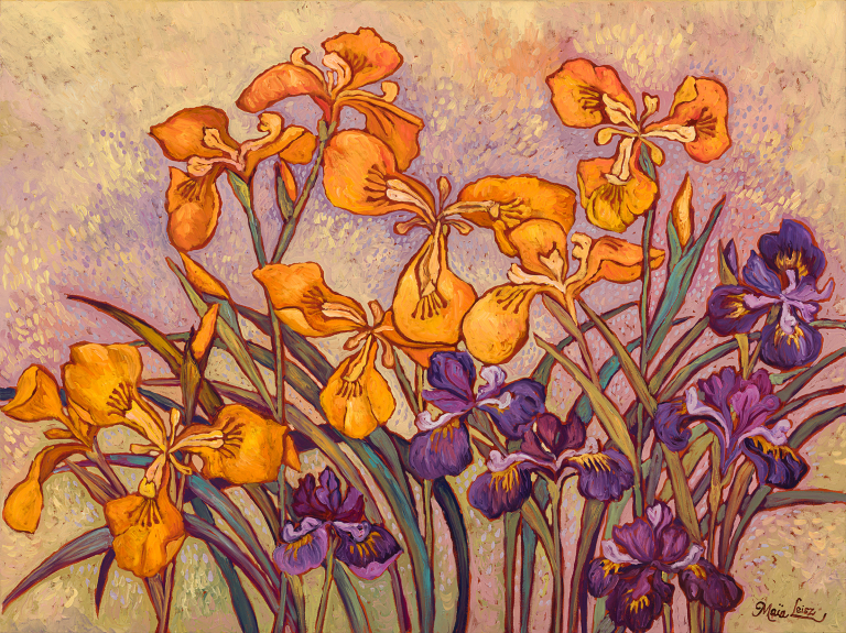 Iris Duet