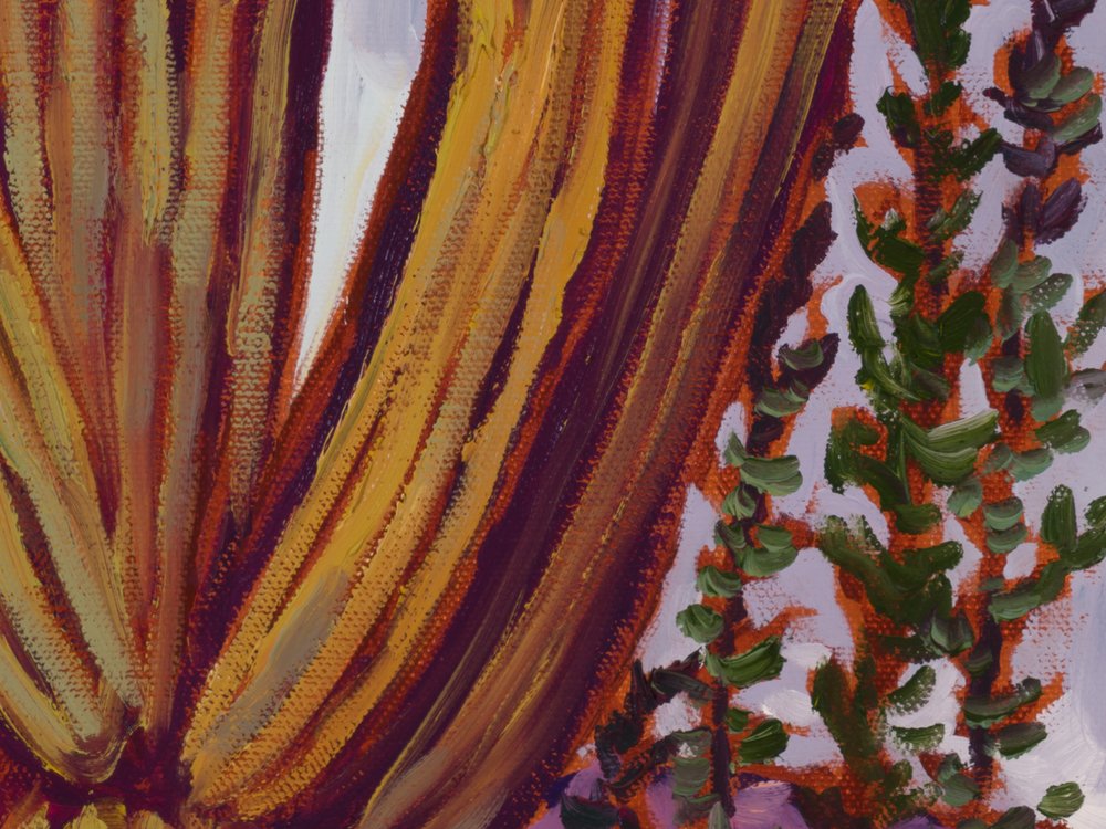 Close-up 1