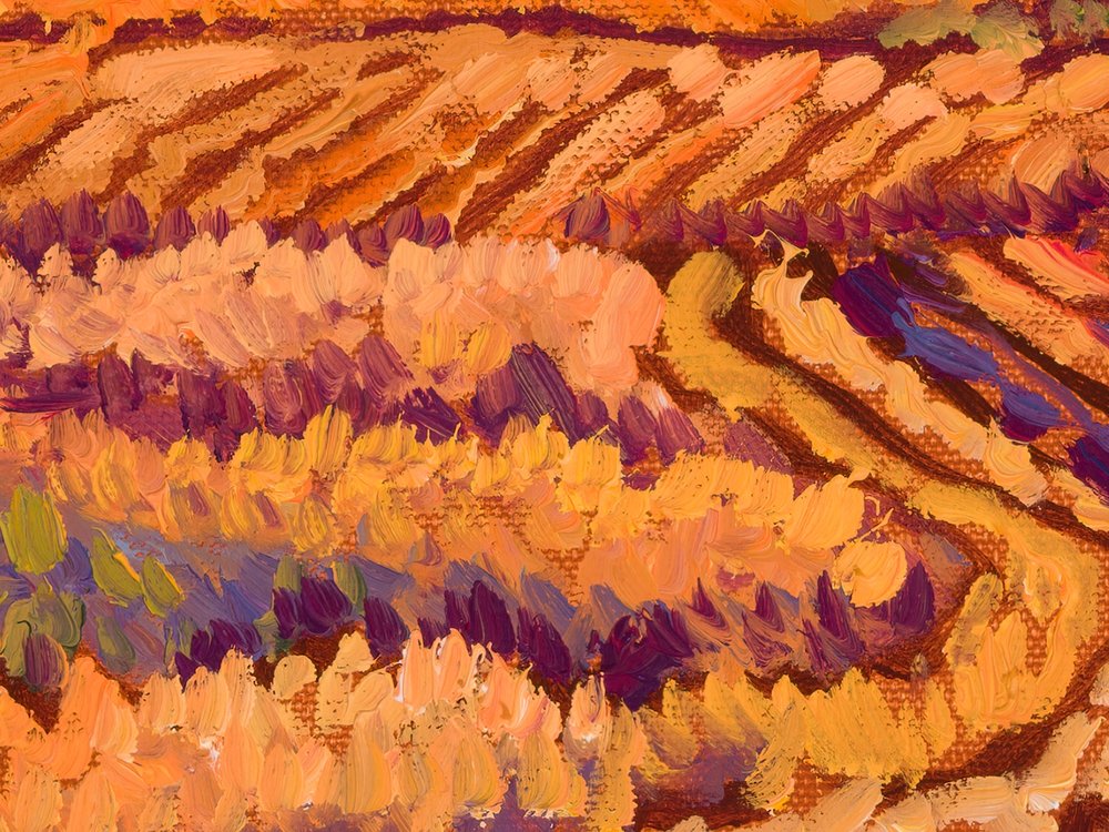 Close-up 2