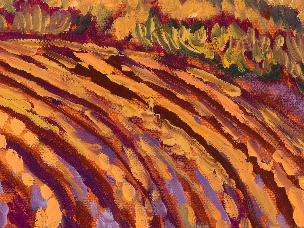 Close-up 3