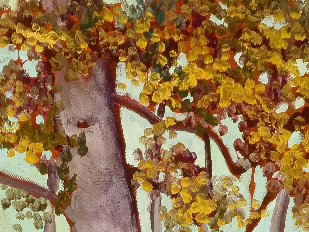 Close-up 1