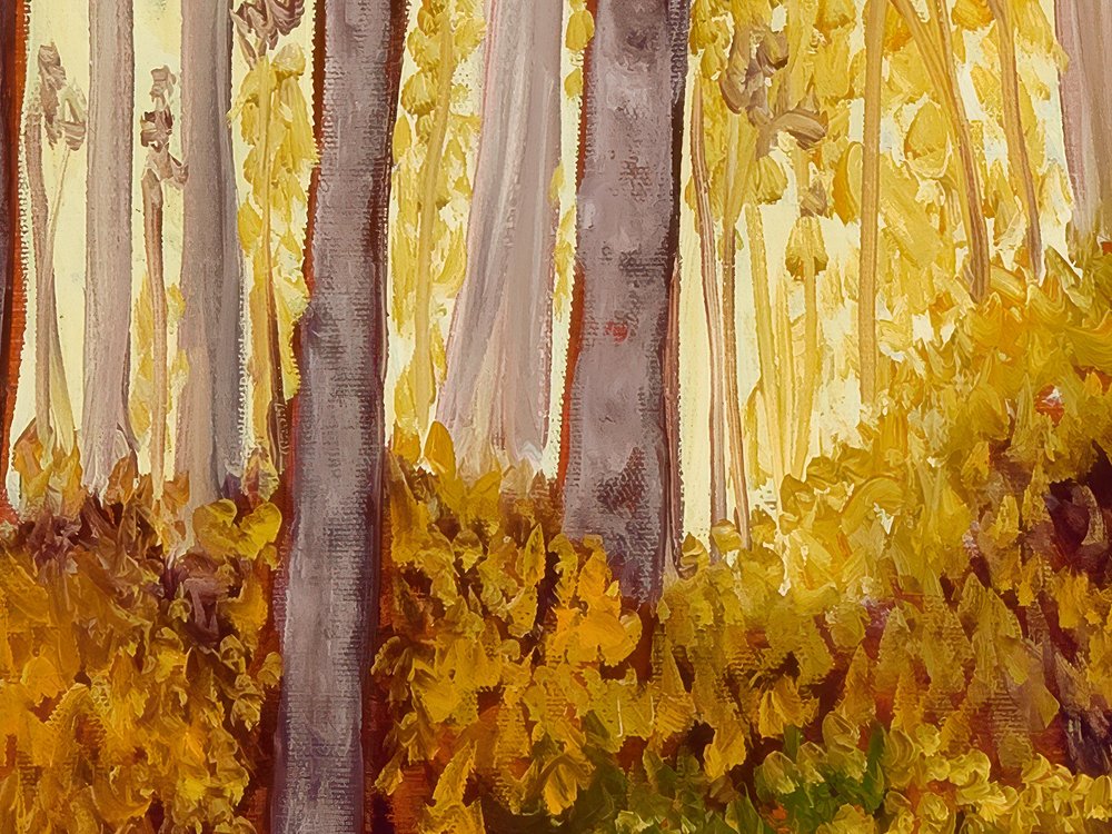 Close-up 3
