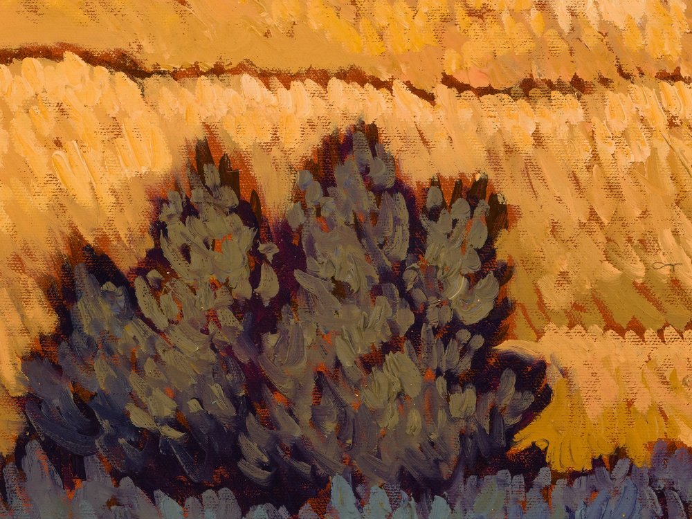 Close-up 2