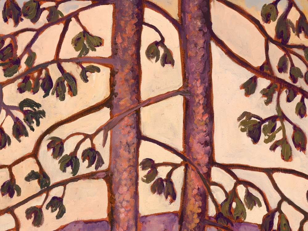 Close-up 2