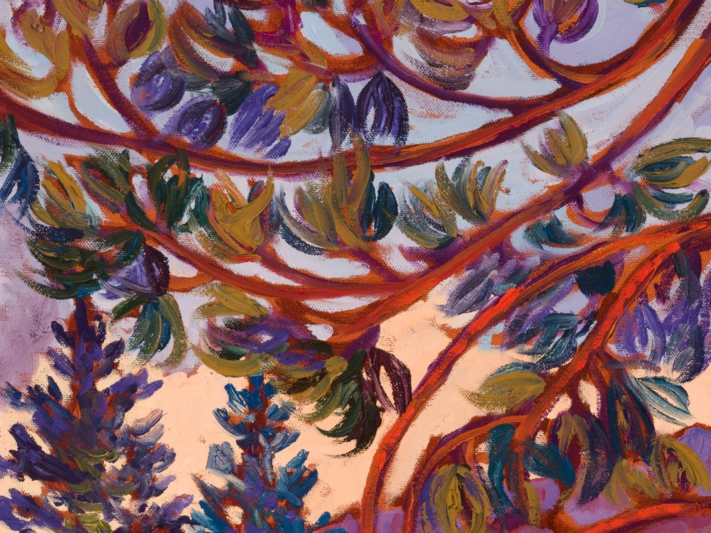 Close-up 1