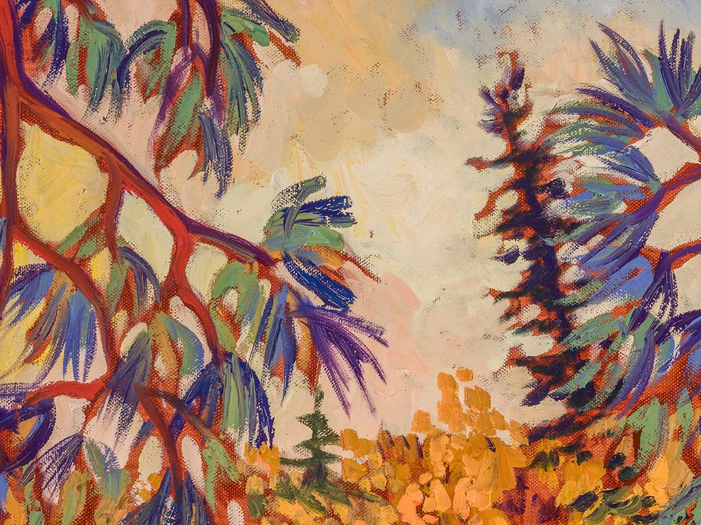 Close-up 2