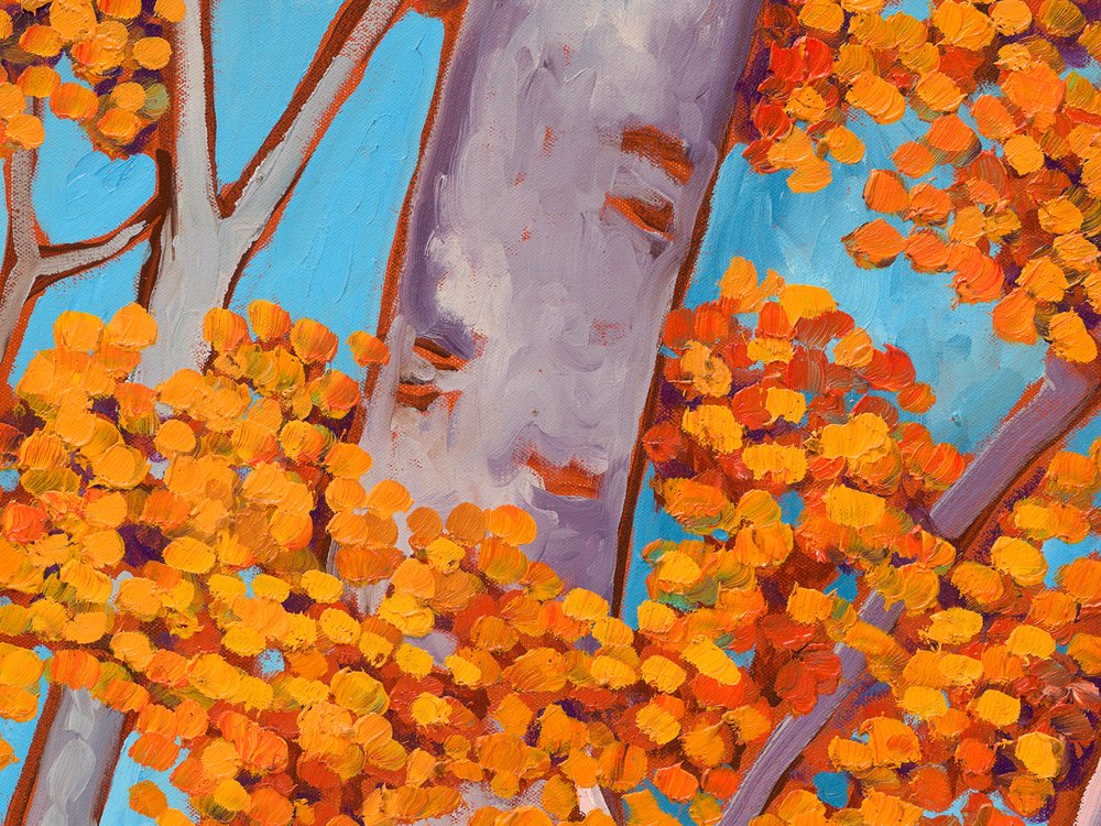 Close-up 2