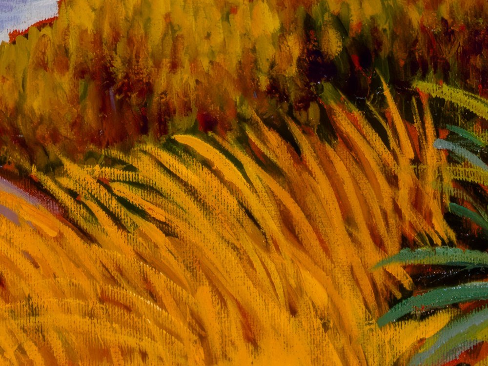 Close-up 3