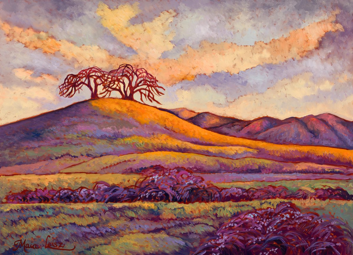 Breaking Dawn by Maia Leisz