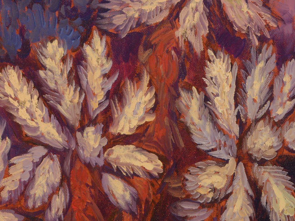Close-up 2