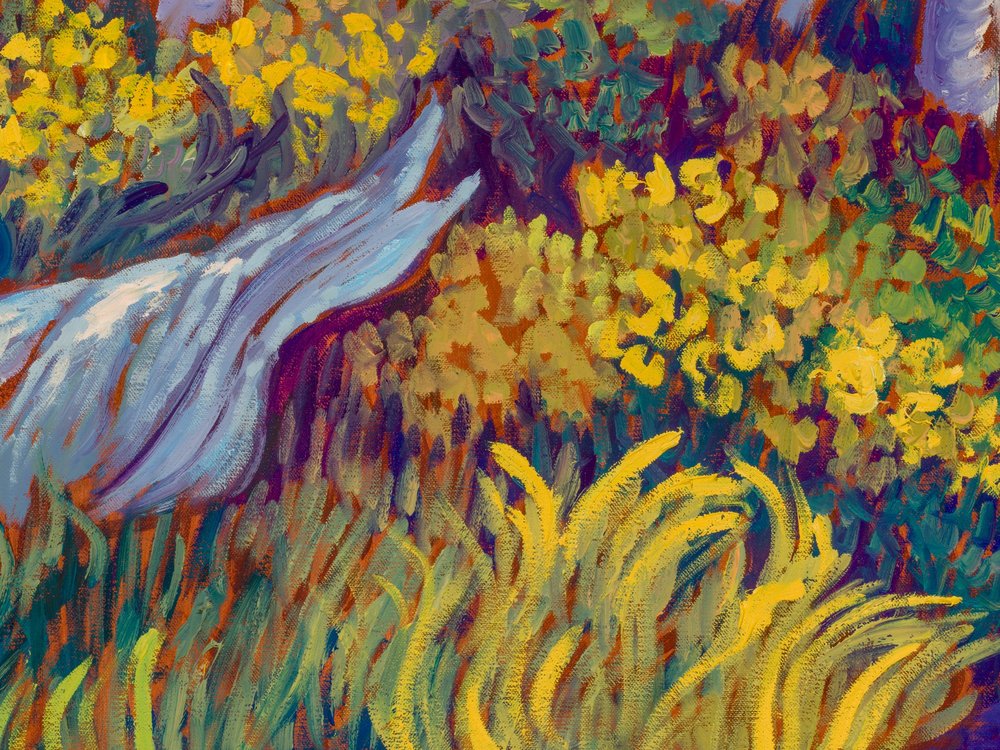 Close-up 3
