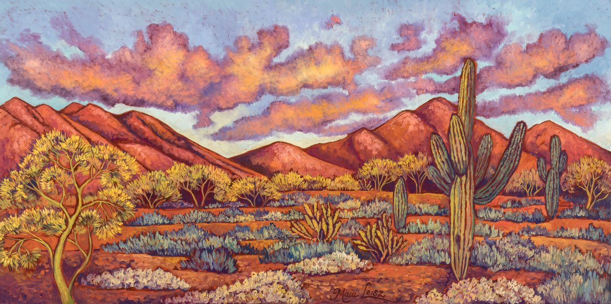 Desert Skies by Maia Leisz