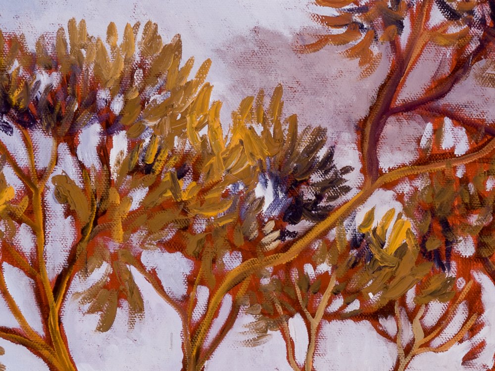 Close-up 1