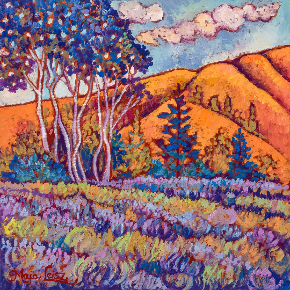Early Light by Maia Leisz