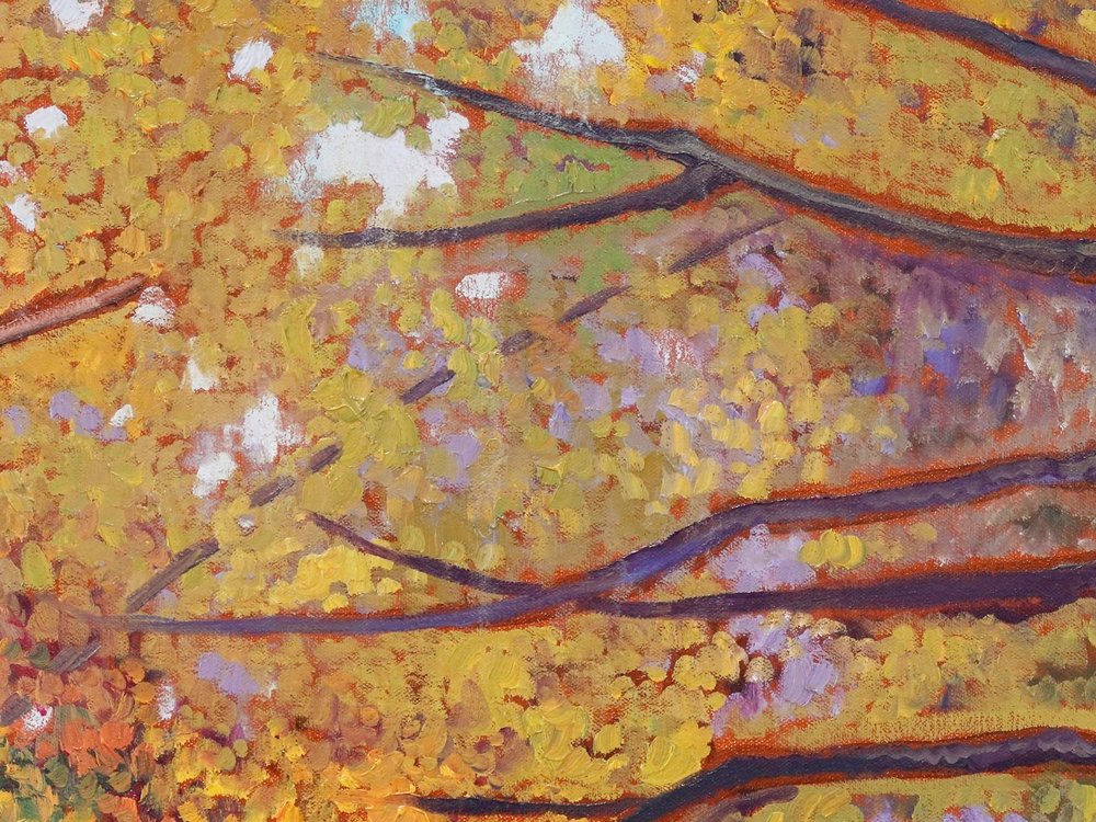 Close-up 1