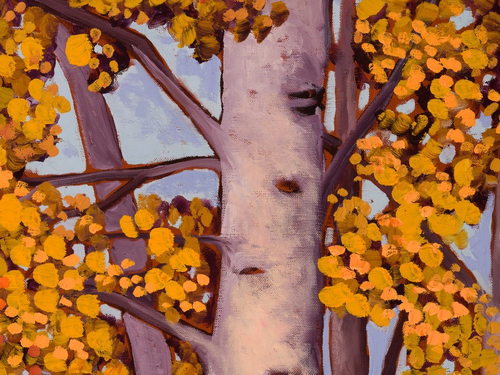 Close-up 1