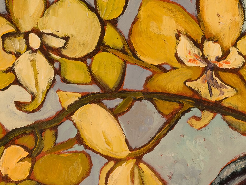Close-up 1