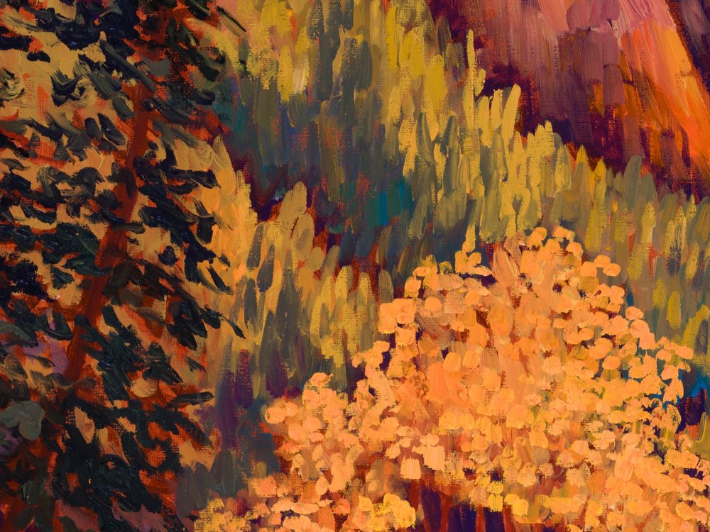 Close-up 1