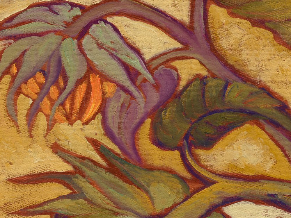 Close-up 3