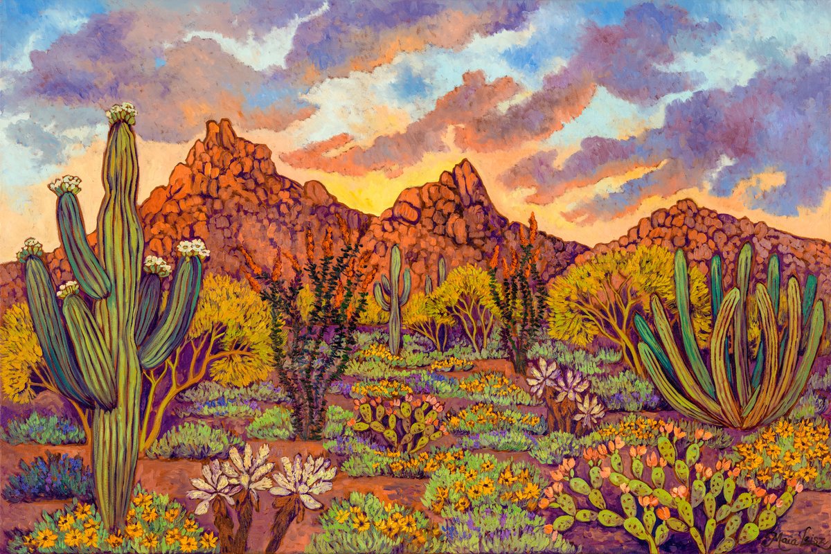 Joyful Desert by Maia Leisz