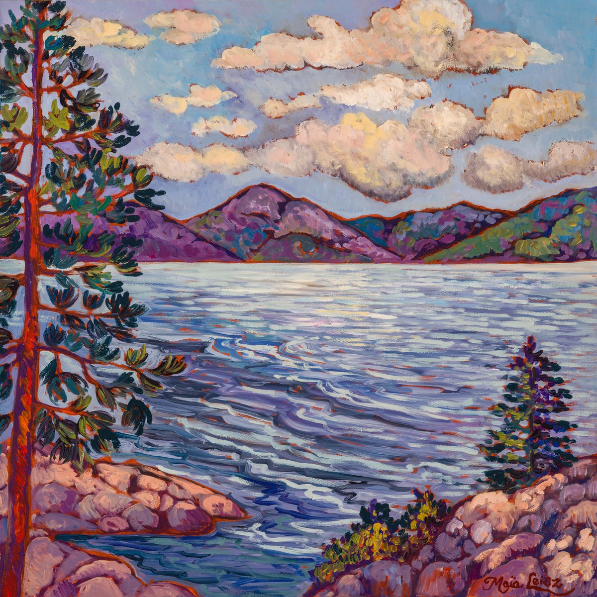 Lake Shore Currents by Maia Leisz