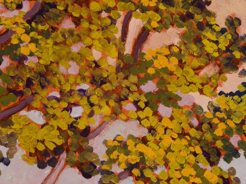 Close-up 1