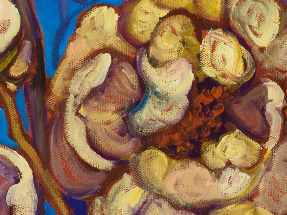 Close-up 3