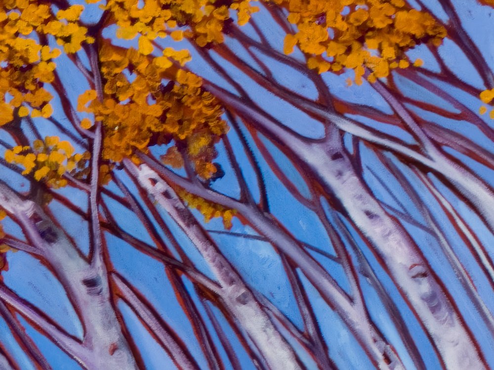 Close-up 1