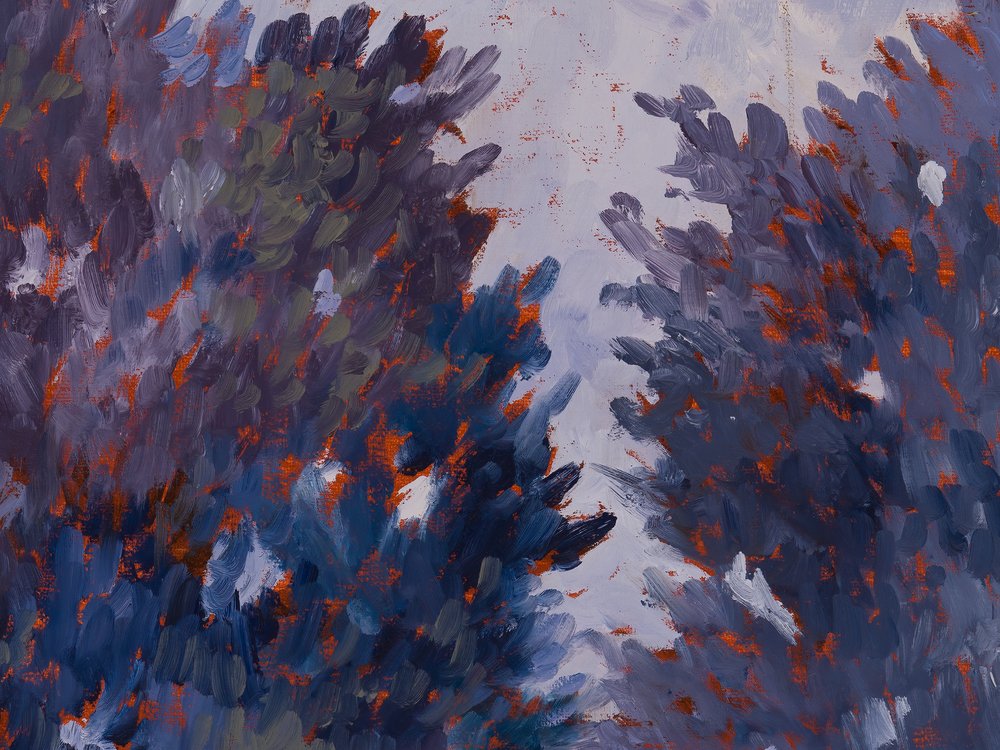 Close-up 1