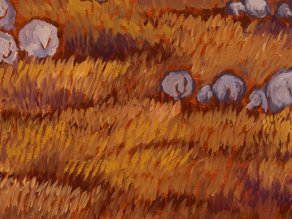 Close-up 3