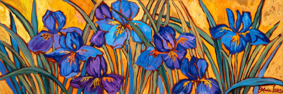 Les Iris Japonaise by Maia Leisz