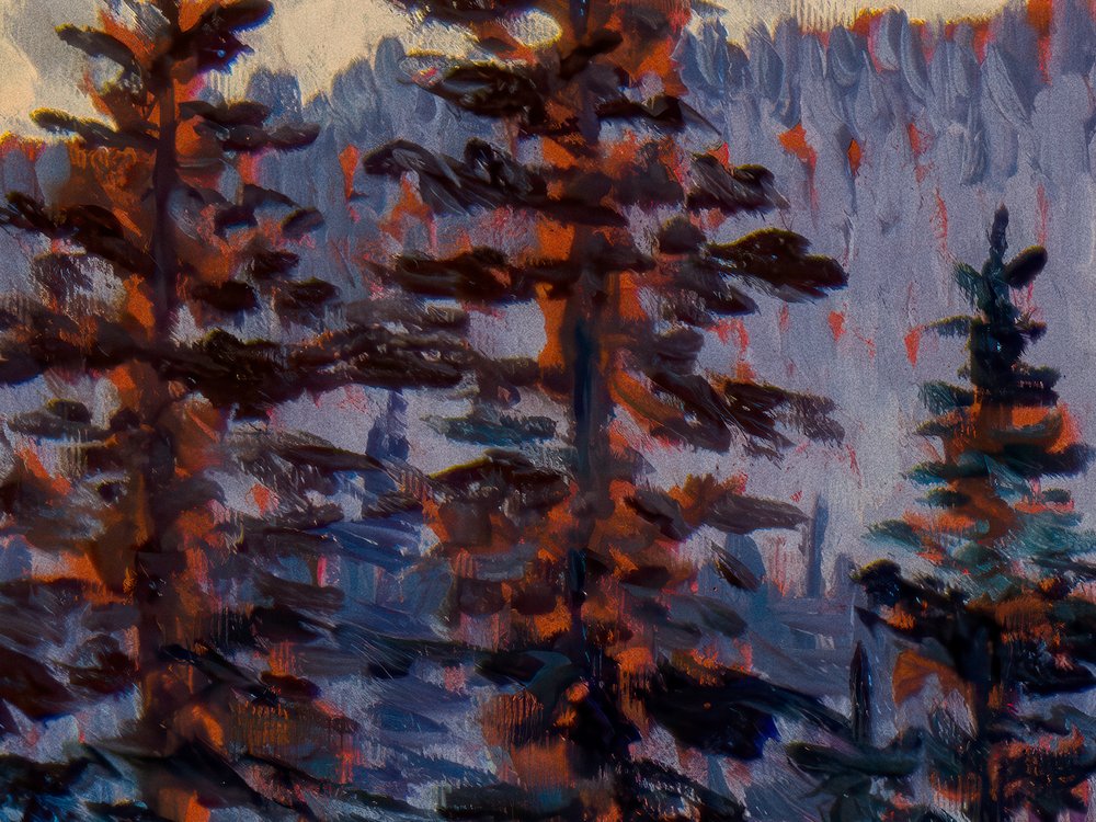 Close-up 2
