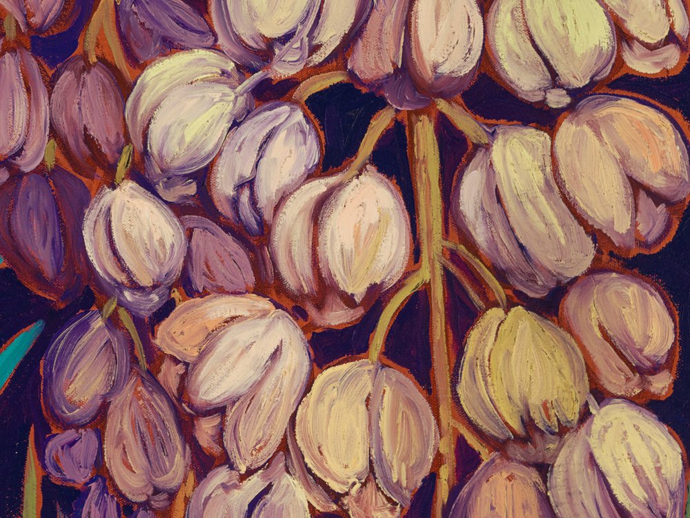 Close-up 2