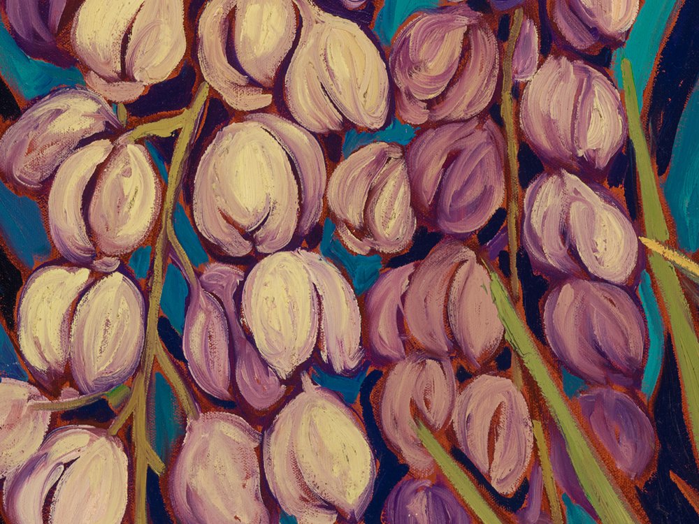 Close-up 3