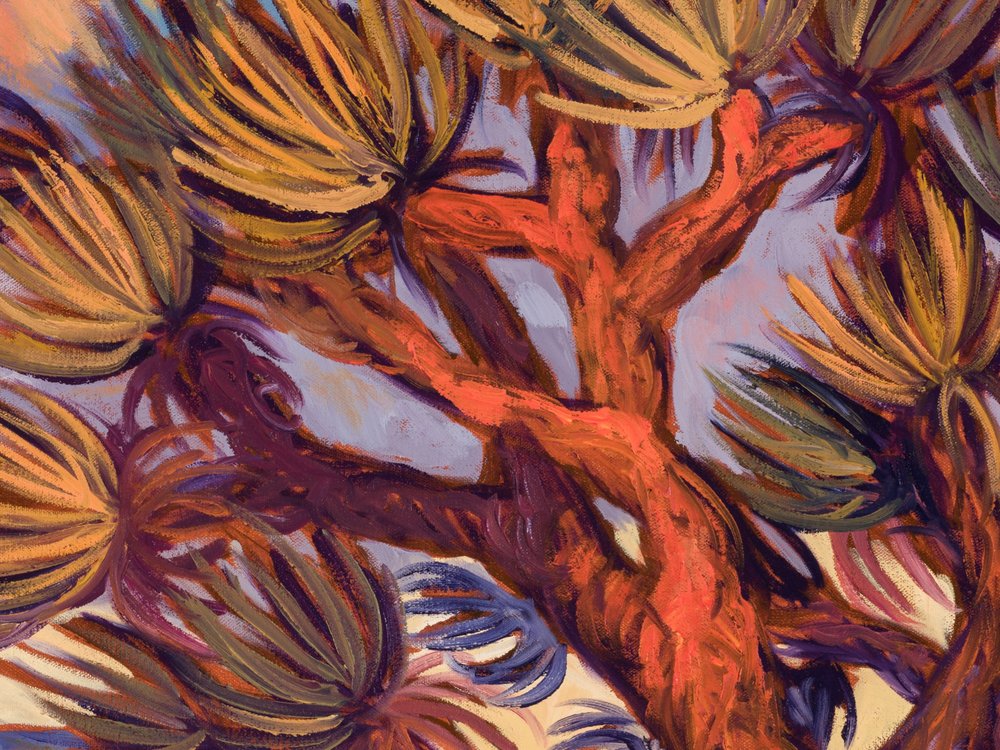 Close-up 1