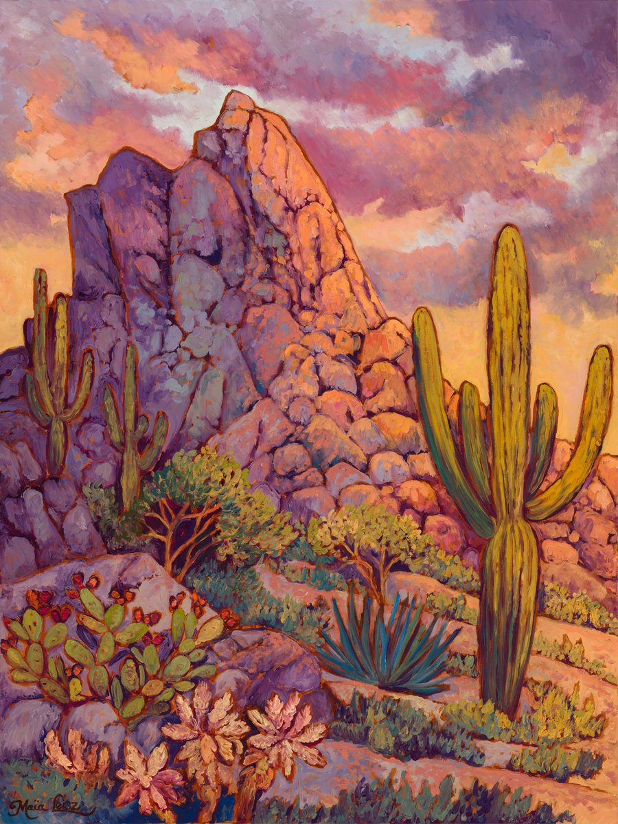 Morning Glow on Pinnacle Peak by Maia Leisz