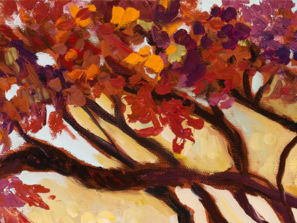 Close-up 1