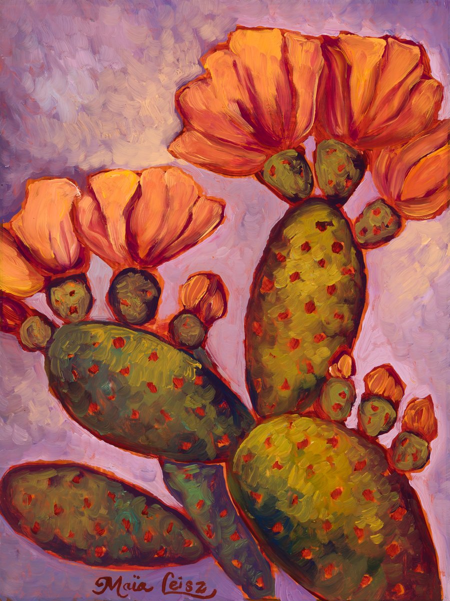 Of Sunshine and Cacti by Maia Leisz