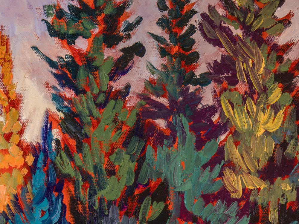 Close-up 1