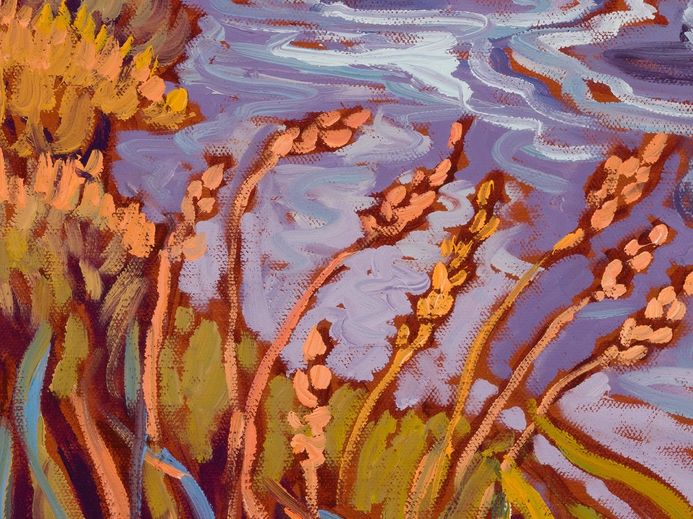 Close-up 3
