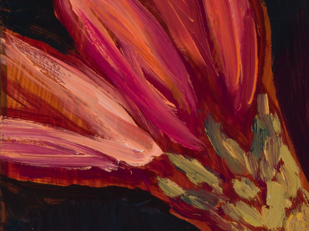 Close-up 1